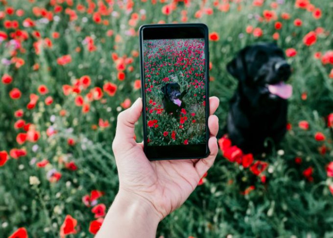 Kobieta ustawia aparat fotograficzny w telefonie 